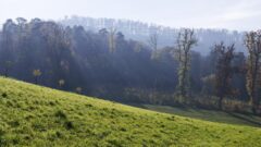 006 - beim Talweiher in Pratteln